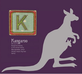 Lynn_Museum's tweet photo. K is for Kangaroo! 
Did you know? 
Kangaroos belong to the animal family Macropodidae, which literally means 'big foot family'.
#MuseumAlphabet 

These homemade Kanga and Roo soft toys were made in 1976, inspired by A.A. Milne's Winnie the Pooh stories. https://t.co/BJOUCGopST