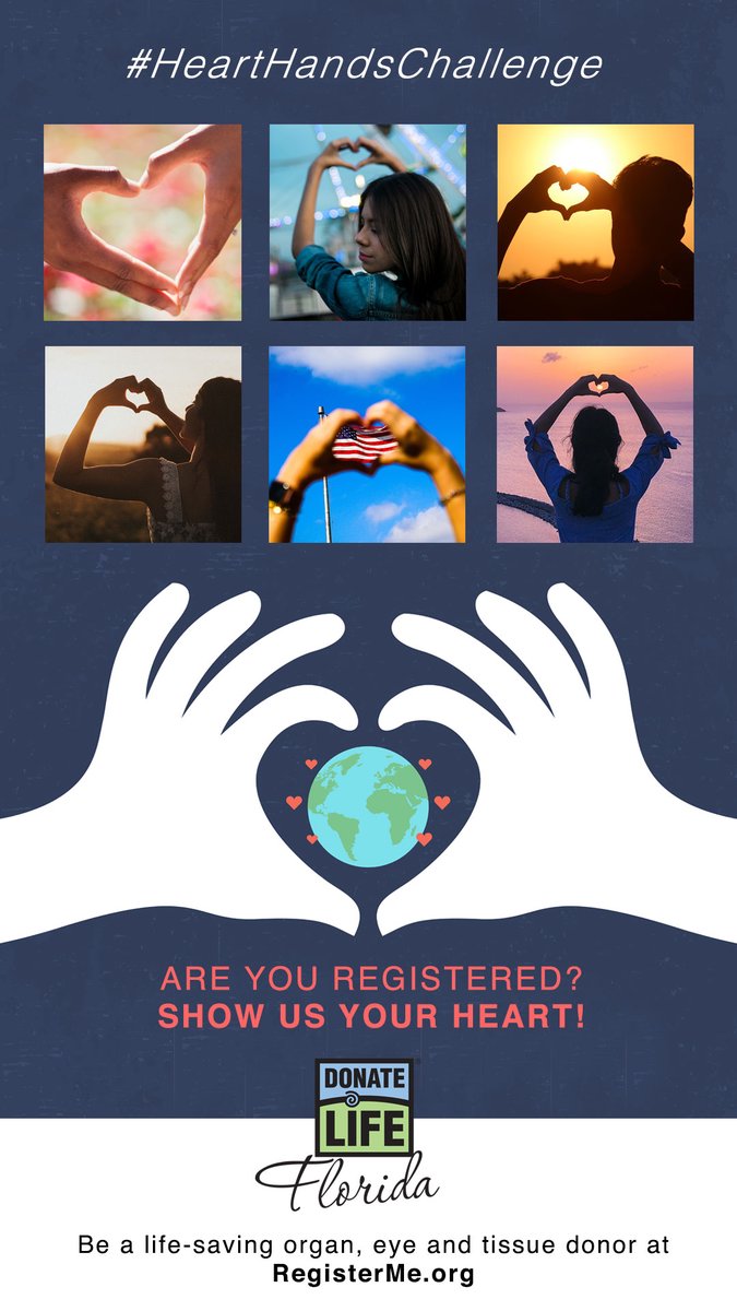 OurLegacy tweet media