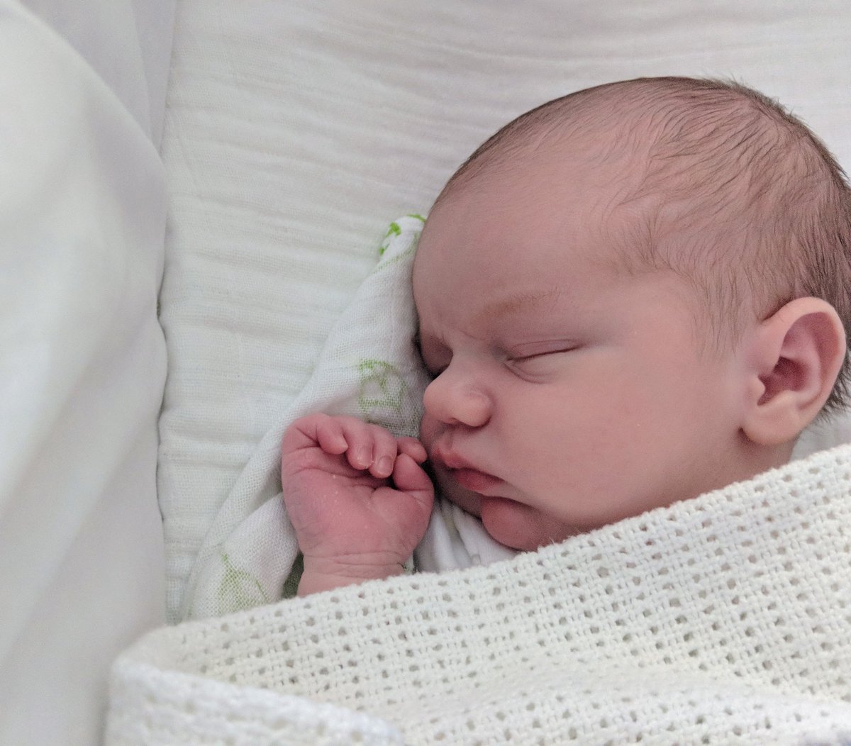 Katie_Greenough's tweet photo. #ThrowbackThursdays
When my baby was 5 days old...
#timeflies
#babyboy
#nearlytwo https://t.co/fnDI3HN7Iy