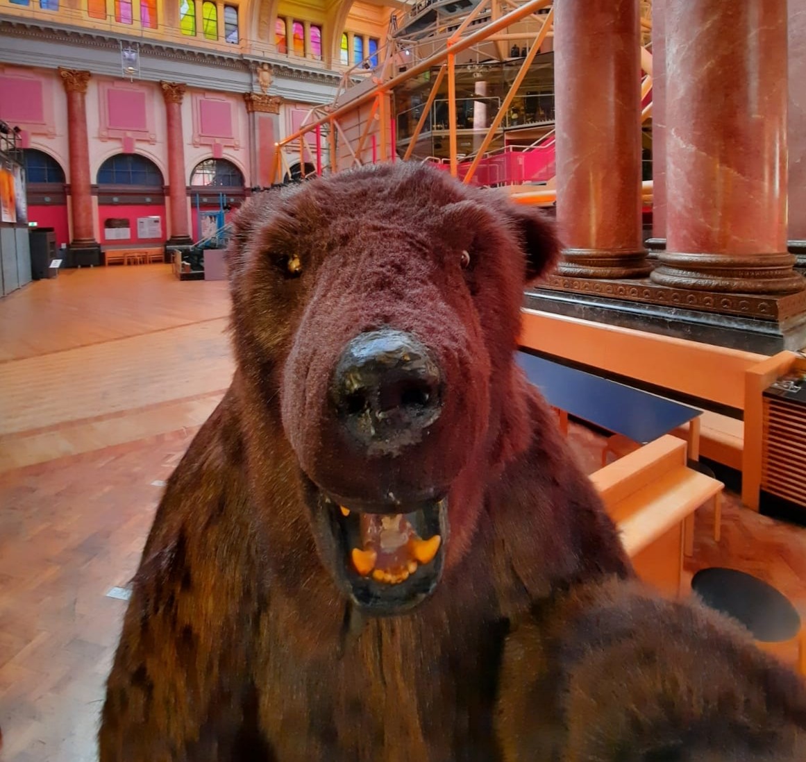 rxtheatre's tweet photo. Can you help our Boris the Bear? He's all on his own - bravely guarding the Theatre but he's a bit lonely & missing you all. If you've had a picture taken with him - please reply with it to cheer him up! #RXConnect #Roooar https://t.co/MNO2vTMU9F