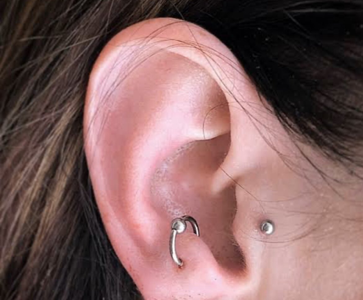jeongin:- doubles PLEASE- septril - tragus and anti tragus