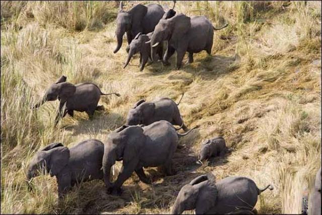 محمية الدندر وسط السودان