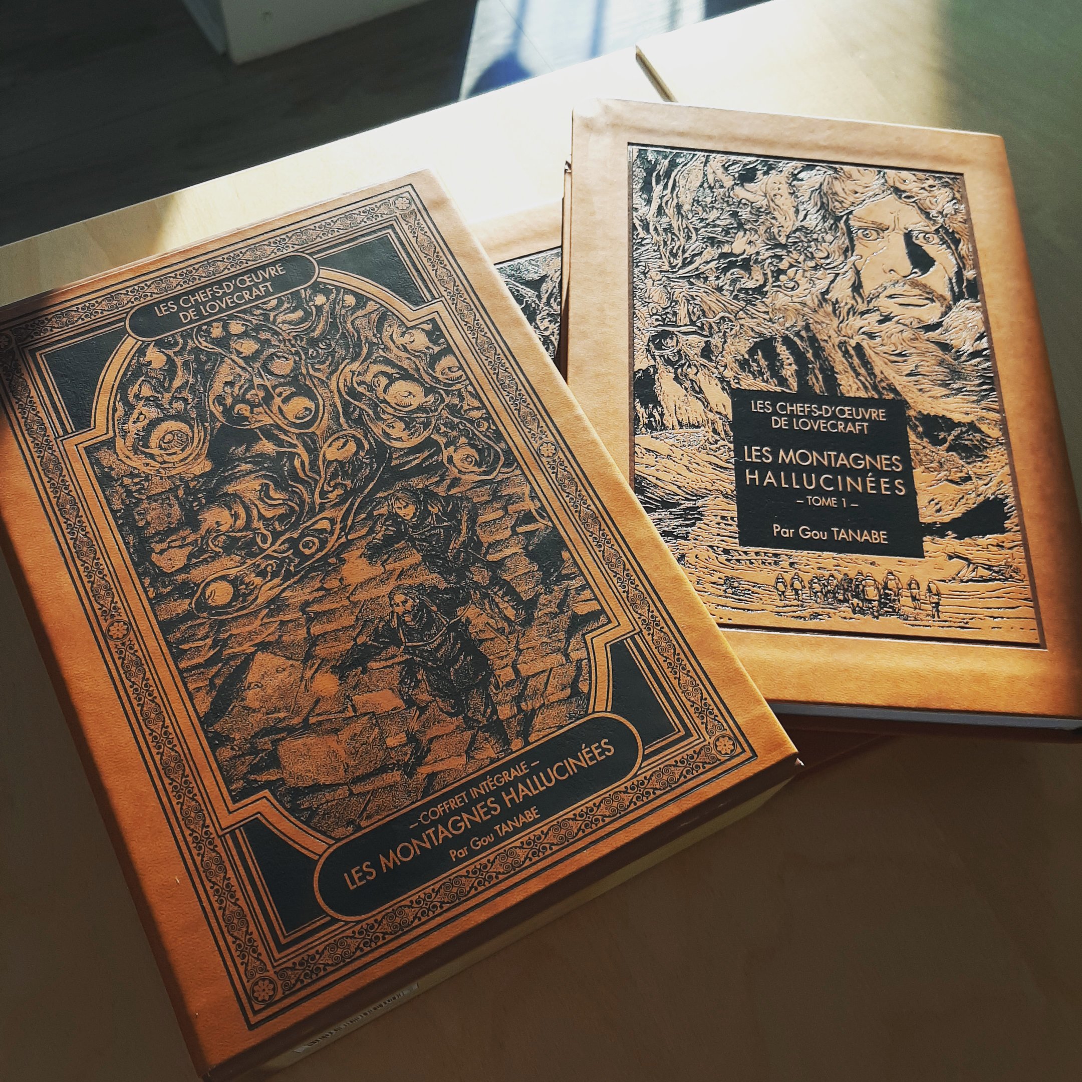 Coffret Lovecraft L Intégrale Les Montagnes Hallucinées Constanza Rojas-Molina on X: "At the Mountains of Madness. Manga adaptation  of HP Lovecraft by Gou Tanabe. Bday gift from @ThanosManos who was wise  enough to get me a present a month