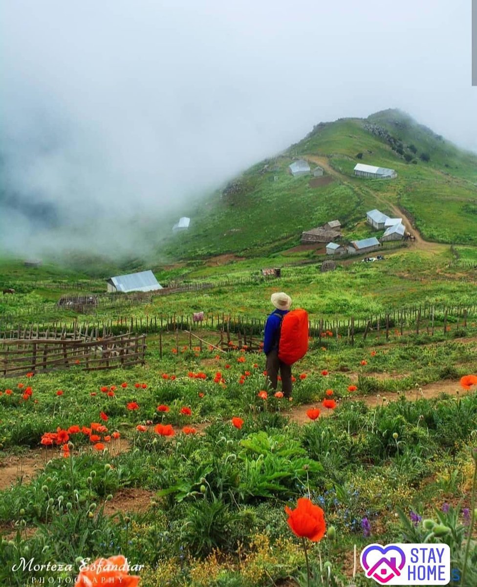 If #Corona ends in another month, here will be a great place for many people to enjoy 
📍 Soubatan, Iran

Photo by Morten’s Esfandiar