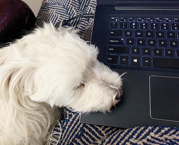 ETC Newsletter - Online Sale - Hand Dyed Yarns &amp; Fiber conta.cc/3ecMYL4