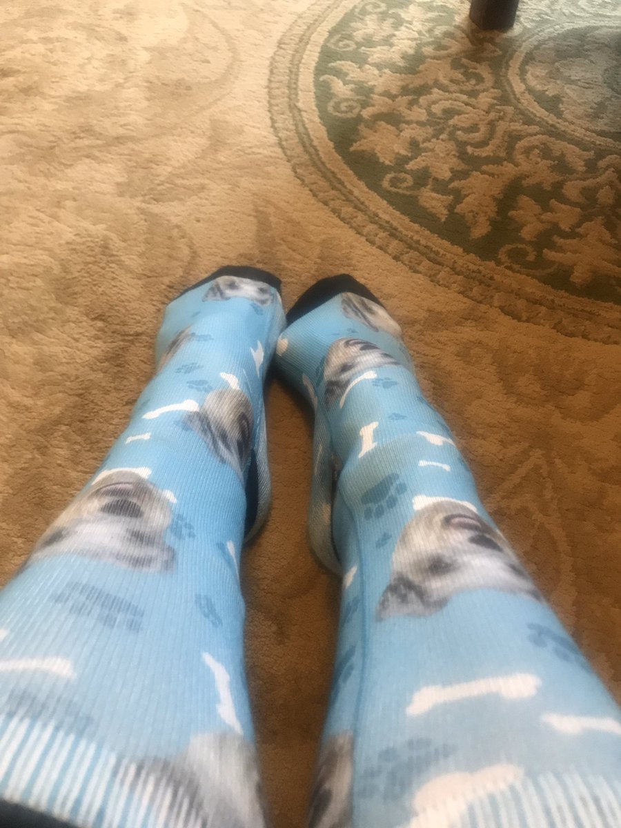 FHSPantherJobs's tweet photo. Duncan and I are Twining with Mrs Briggs Romi &amp; Stanley @BestFHSBuddies @jennibriggs17 @FHSPantherJobs https://t.co/6Cti4y718M