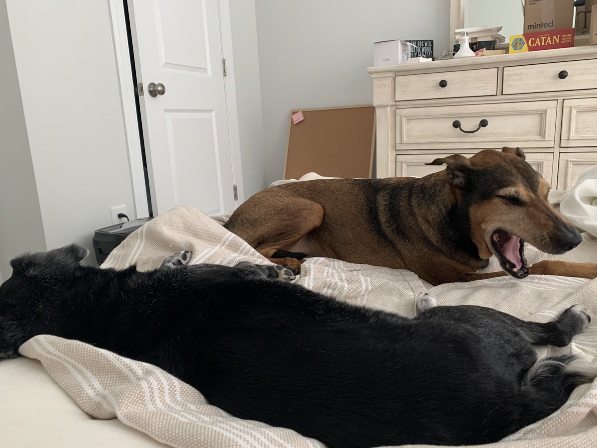 Phlydaily tweet media