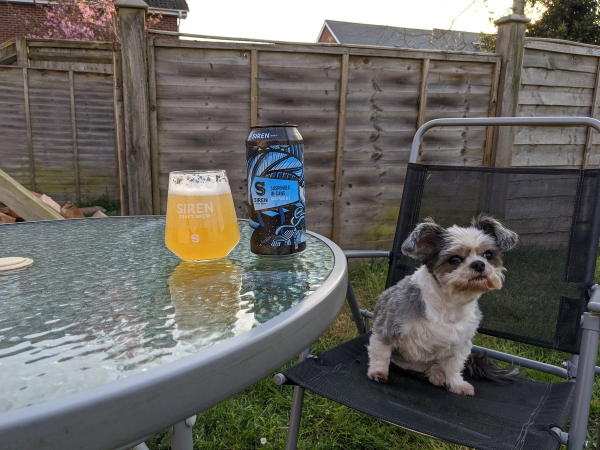 Beautiful evening in <a href="/The_Tweet_Inn/">The Tweet Inn</a> garden but not sure about some the locals... Who's bringing their dog* to the pub tonight?

*Or cat, snake, budgie, rat, lizard, spider (please don't), chickens or Tigers etc... 

#thetweetinn #sireninmyyard