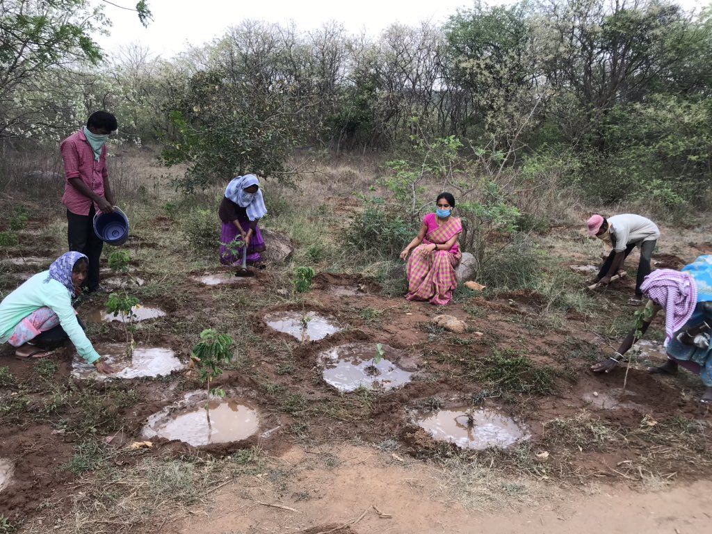 CMR_INC's tweet photo. Visited our forest to Inspect the work of our #Harithavanam watering,here I Made sure that Saucer Formation is done on every plant to store water for couple of days.Working on an ambitious project promoted by our @TelanganaCMO Don’t let our future Dry up #MaintainSocialDistancing https://t.co/MhYOmIuv2a