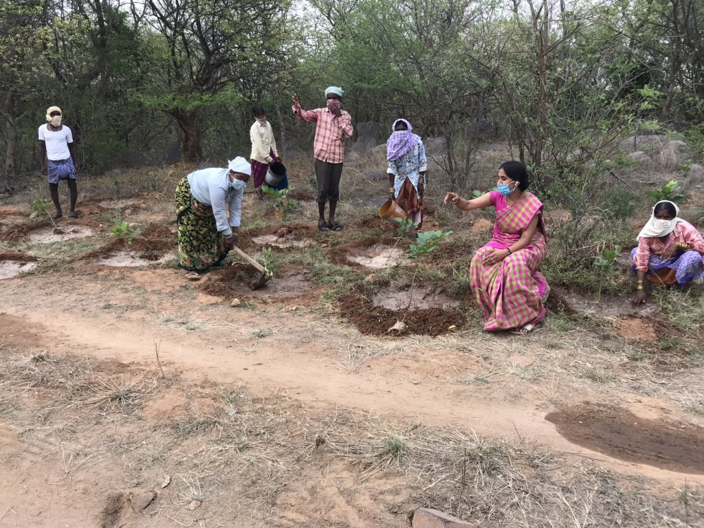 CMR_INC's tweet photo. Visited our forest to Inspect the work of our #Harithavanam watering,here I Made sure that Saucer Formation is done on every plant to store water for couple of days.Working on an ambitious project promoted by our @TelanganaCMO Don’t let our future Dry up #MaintainSocialDistancing https://t.co/MhYOmIuv2a