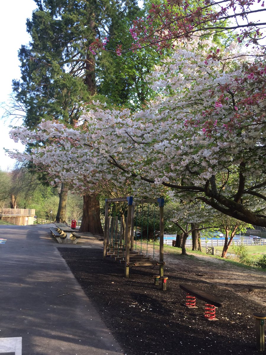 Ceri Jones tweet media