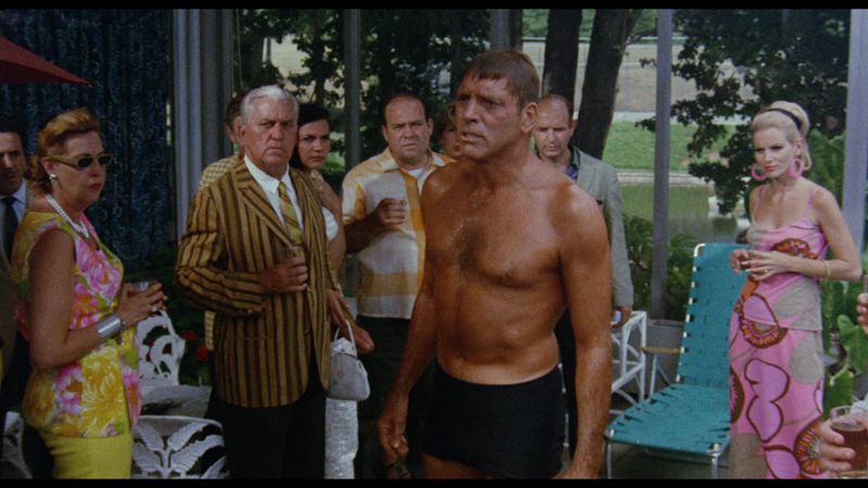 The Swimmer dir. Frank Perry (1966)- From a moment in the late 60s when directors were adapting New Yorker short stories like comic books and every movie was weird and horny af.