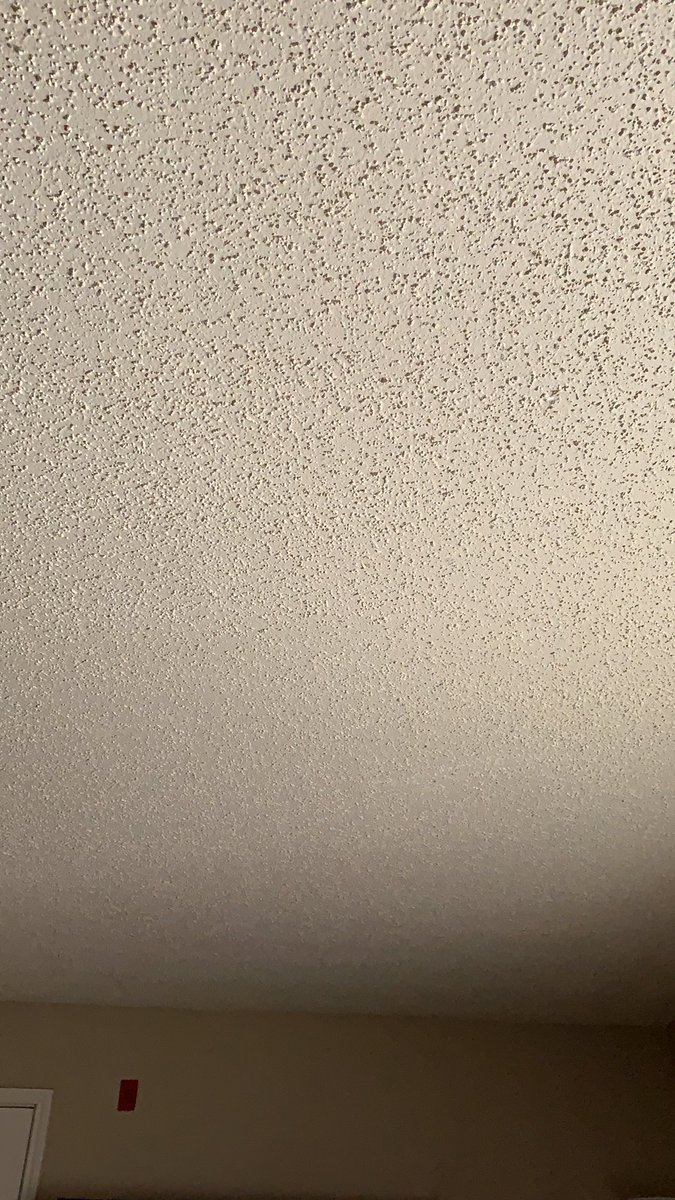 Miag0924's tweet photo. Day 4: My ceiling has 304,657 big specs and 108,203 small specs. How’s quarantine for everyone? https://t.co/aHohznUvv8