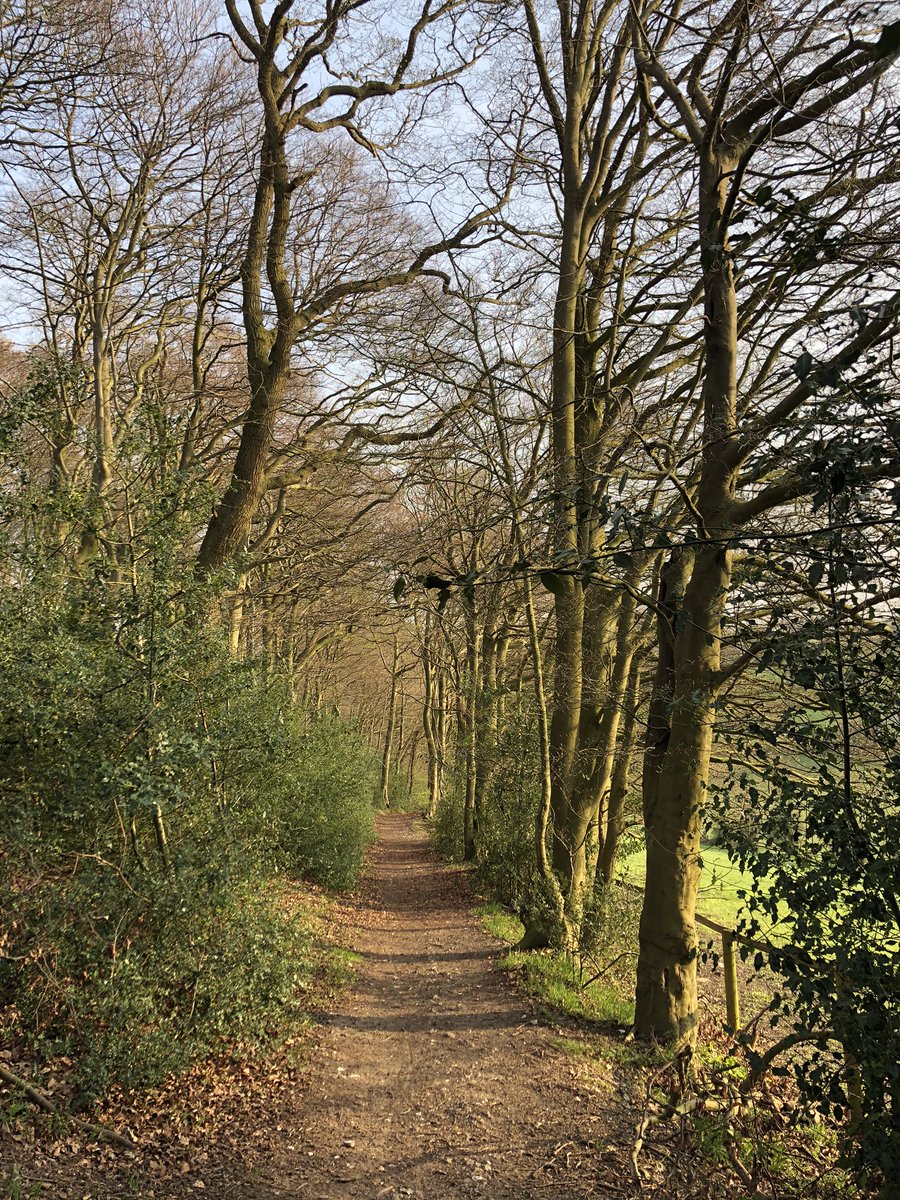 LNikdo's tweet image. #Bucks #Chilterns #HughendenValley