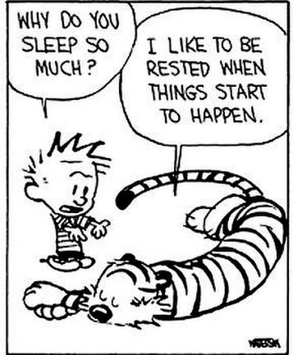 Calvin and Hobbes Fan Account tweet media