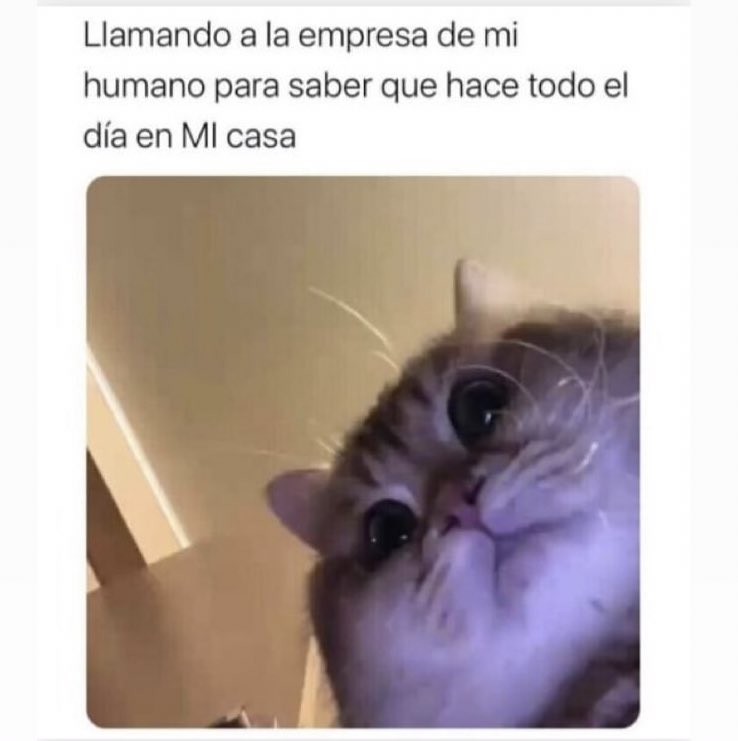 cate_fuentes's tweet photo. @PipingaGarcia Harrrrrrrtos 🙄 https://t.co/pk2febTr9B