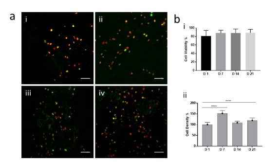 In this new paper we have looked at human bone marrow stromal cells (HBMSCs) viability after printing in 3-3-3 finding a consistent number of viable cells during 21 days of culture in the lab, with printed cells rapidly growing in number up to 7 days and then plateauing 3/8