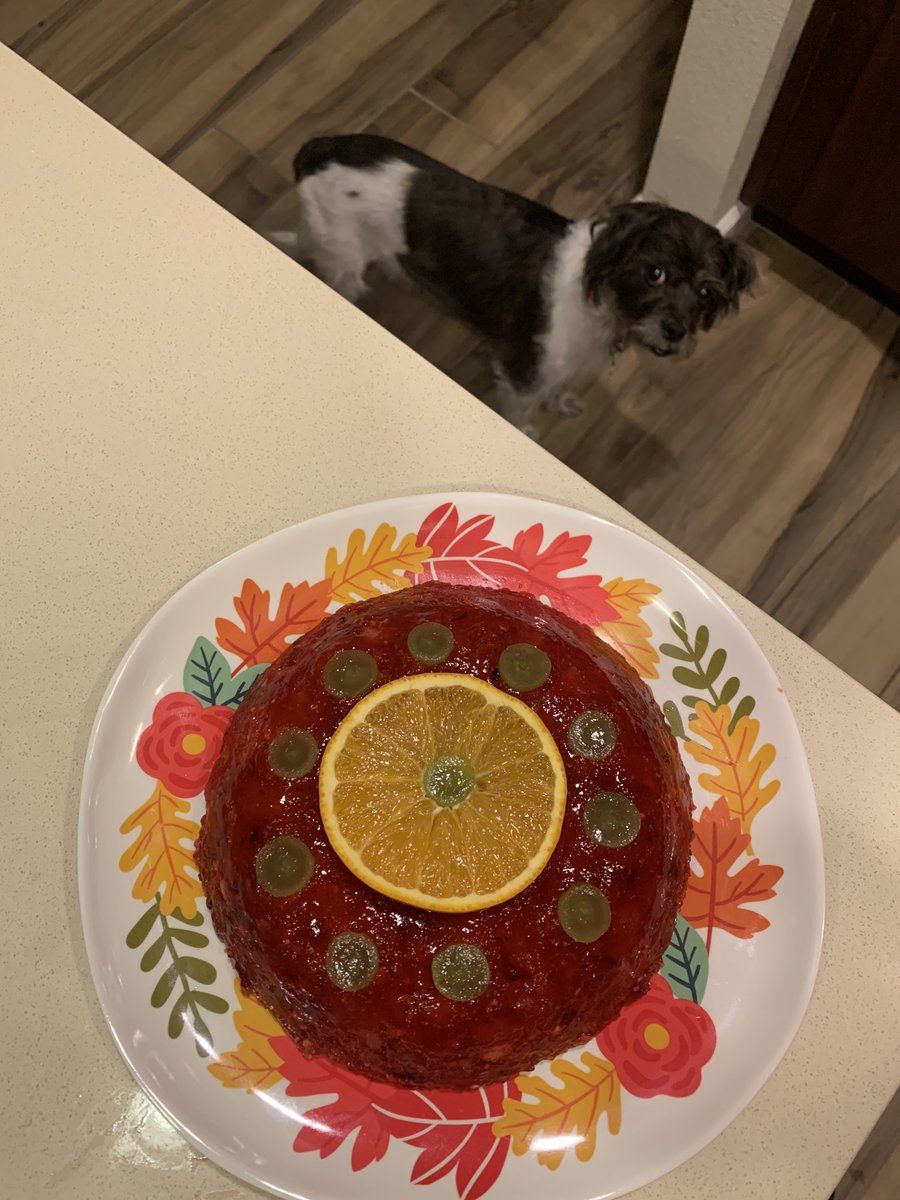 This student made a "cranberry relish" which was one of her great great aunt's go-to desserts (recipe--and dog pic--included!).