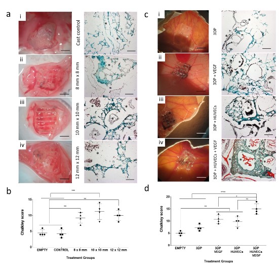 We looked at the possibility of 3D printed 3-3-3 material to support vascular ingrowth. We found that the synergistic effect of the loading of growth factors and endothelial cells had a major impact on blood vessels penetrating the three-dimensional porous structure5/8