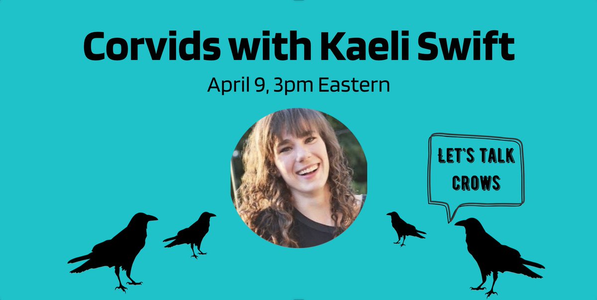 We're talking corvids at 3pm eastern with the dazzling hilarious phenomenal  @corvidresearch on Skype a Scientist LIVEWHO'S JOINING? In the word of  @alieward, text ur crush, and tell 'em about corvids, come on it'll be, like, a bonding experience. https://zoom.us/j/295794315 