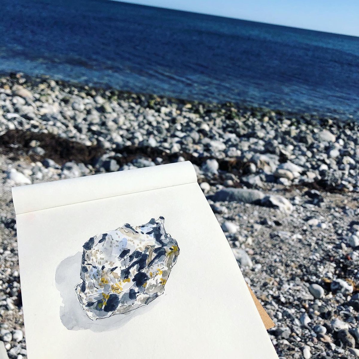 Painted rocks at the beach today #beach #rocks #painting #pleinairpainting #watercolour #nature