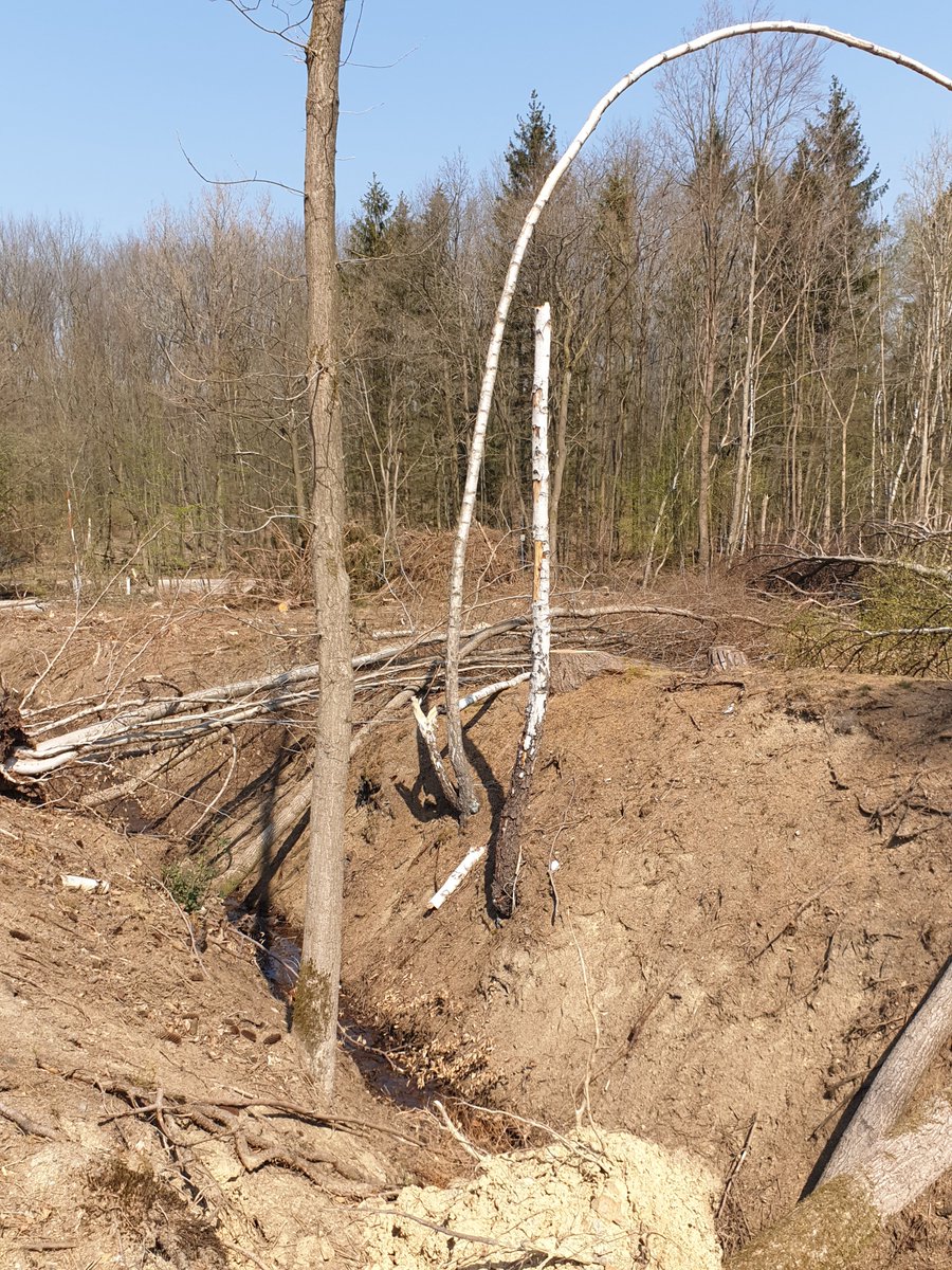 Semjasa666's tweet photo. Langsam beschleicht uns das Gefühl jeder #Wald hat einen #Hippiekatapult!
Wann kriegen wir welche in Baggernähe?
#baggerboom https://t.co/8vb83uEfUl