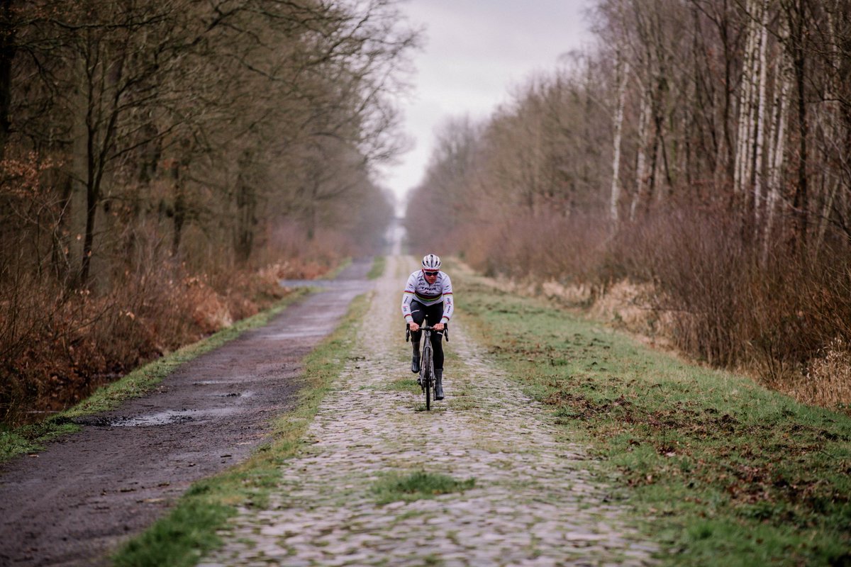 TrekRaceShop's tweet photo. On Roubaix's famously challenging cobbles, @TrekSegafredo rides a bike designed meet the challenge: the Domane.

As we miss one of our favorite races this week, take a look at the Domane @Mads__Pedersen rode on 2020's #ParisRoubaix recon.🤩👇

📰Full story https://t.co/EWbe9QhgQI https://t.co/rpC6DrjMGE