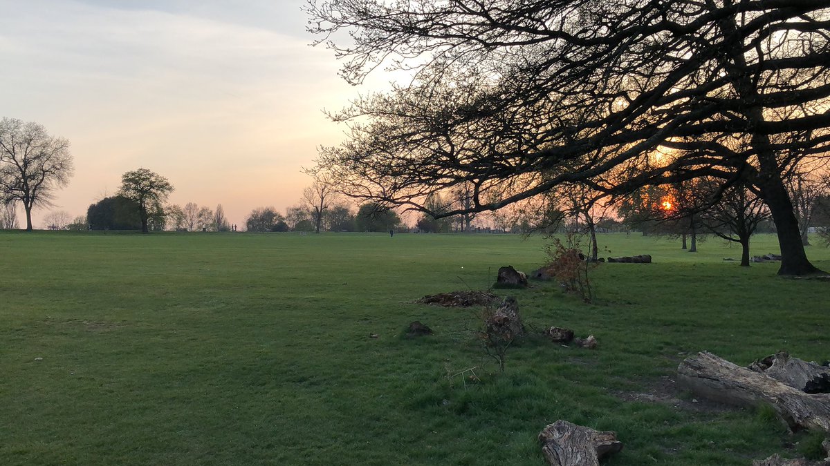 joncstone's tweet photo. I’ve honestly never been more glad that the Victorians has a thing for putting massive parks everywhere https://t.co/4qbZnnRtub
