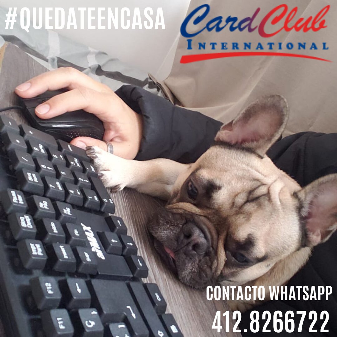 CardClubVzla's tweet photo. Si nos unimos logramos más. #CoronavirusEnVenezuelaTe  #QuedateEnCasa , solicitudes y/o Requerimientos vía Whatsapp https://t.co/y4Ggz8Irvp
