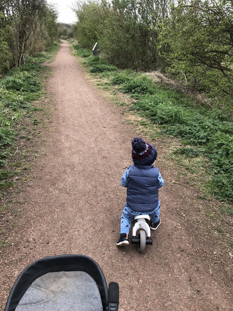DiaryConnors's tweet photo. LOCKDOWN DAY 17
Got up and took the day head on....Morning Walk with the old boy @Fugs_Life and a bit of a history lesson. After the usual nap me and Roo bombed about the garden 🐶 off to my scratcher now 😴 Stick in my G’s #CCVD https://t.co/wwNIVo34Yn