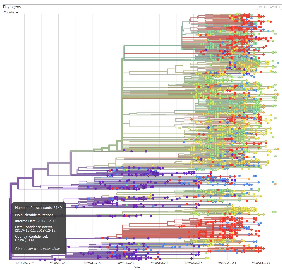 The data that the researchers are using comes from here. https://nextstrain.org/ncov/global Here's a map of phylogeny (the evolutionary history) of the virusNote that all "paths" of this virus lead back to China. That is not in any way under dispute by anyone. /2