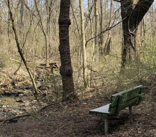 Looking for ways to take advantage of the sunshine?☀️ Gahanna has some of the best outdoor spaces in the Columbus area! 🌳🦋
Check out just a few of our favorites here: buff.ly/3b0dBkm
#ExploreGahanna #AdventureAwaits