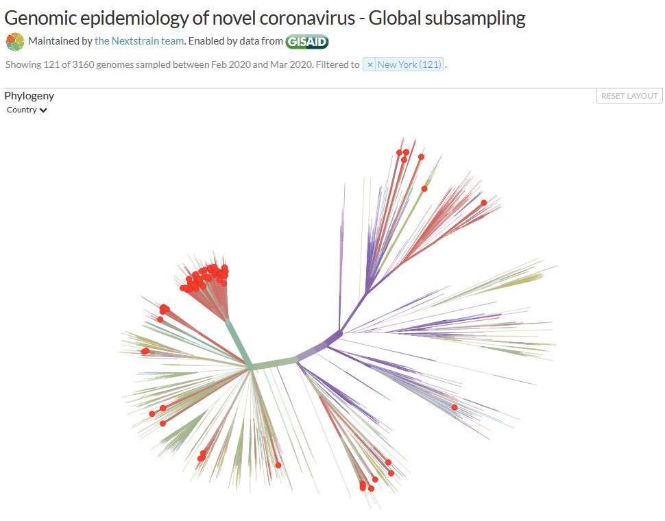 More fun with data: here are the samples sent from New York. They originate from all over! But most of those red dots are on the Europe side of the graphic.