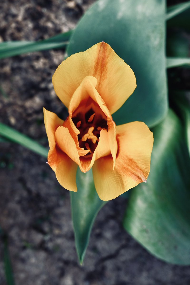 Luc Weinbrecht tweet media