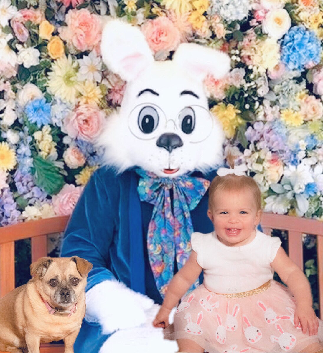 krissyyleighh's tweet photo. Had to find a way to continue pics with the bunny 🐰 https://t.co/fUCxzUjwET