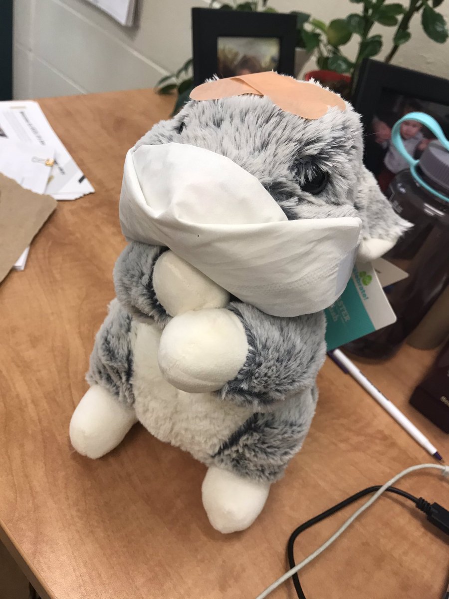 Noellifer's tweet photo. Update:  He now has a CDC approved face mask. https://t.co/uqjgzjEFjT