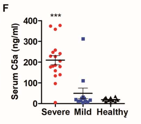 4. Immune complex deposition leads to complement activation.Complement over-activation, particularly within the lung tissue, is seen in the severe phase of COVID19.Notably, it is not seen much in the early phase.