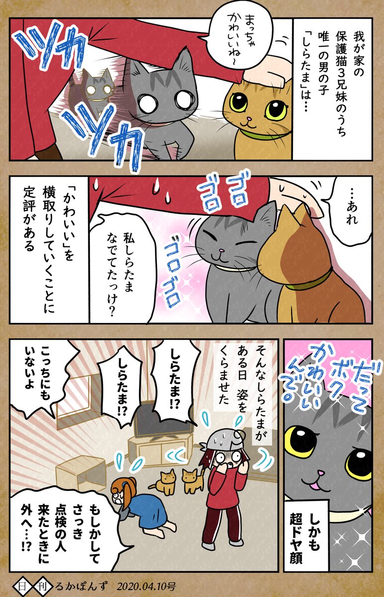 【毎日更新中】
保護猫のうち、1匹がいなくなったときの話。

#保護猫3兄妹 #猫 #ねこ漫画 #コミックエッセイ #猫まんが 