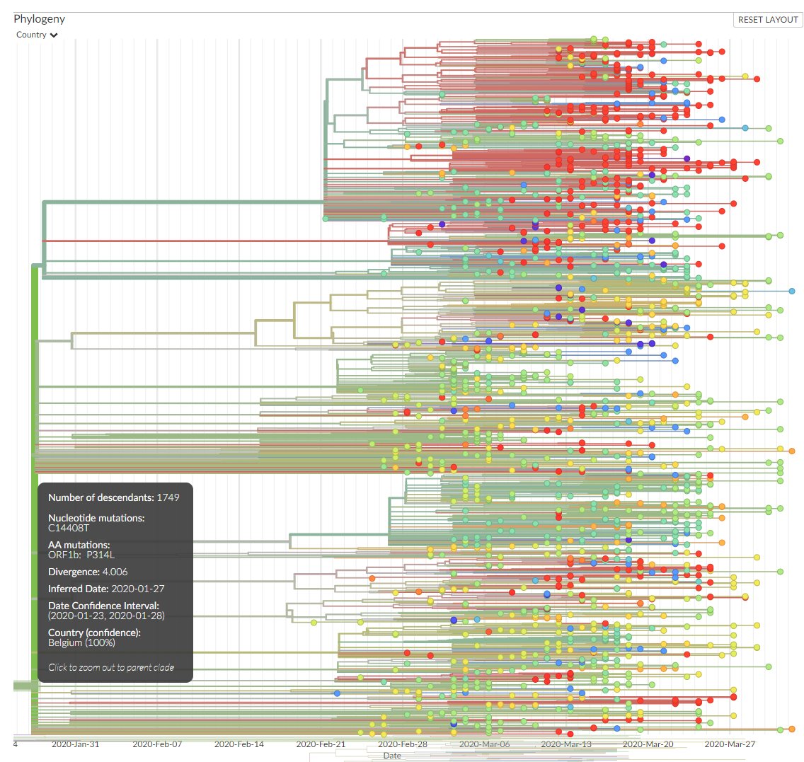 Then we've got this strain which branched in Belgium. The top section of red represents many of the cases from NY (and some in WI and CA) and came through France /4
