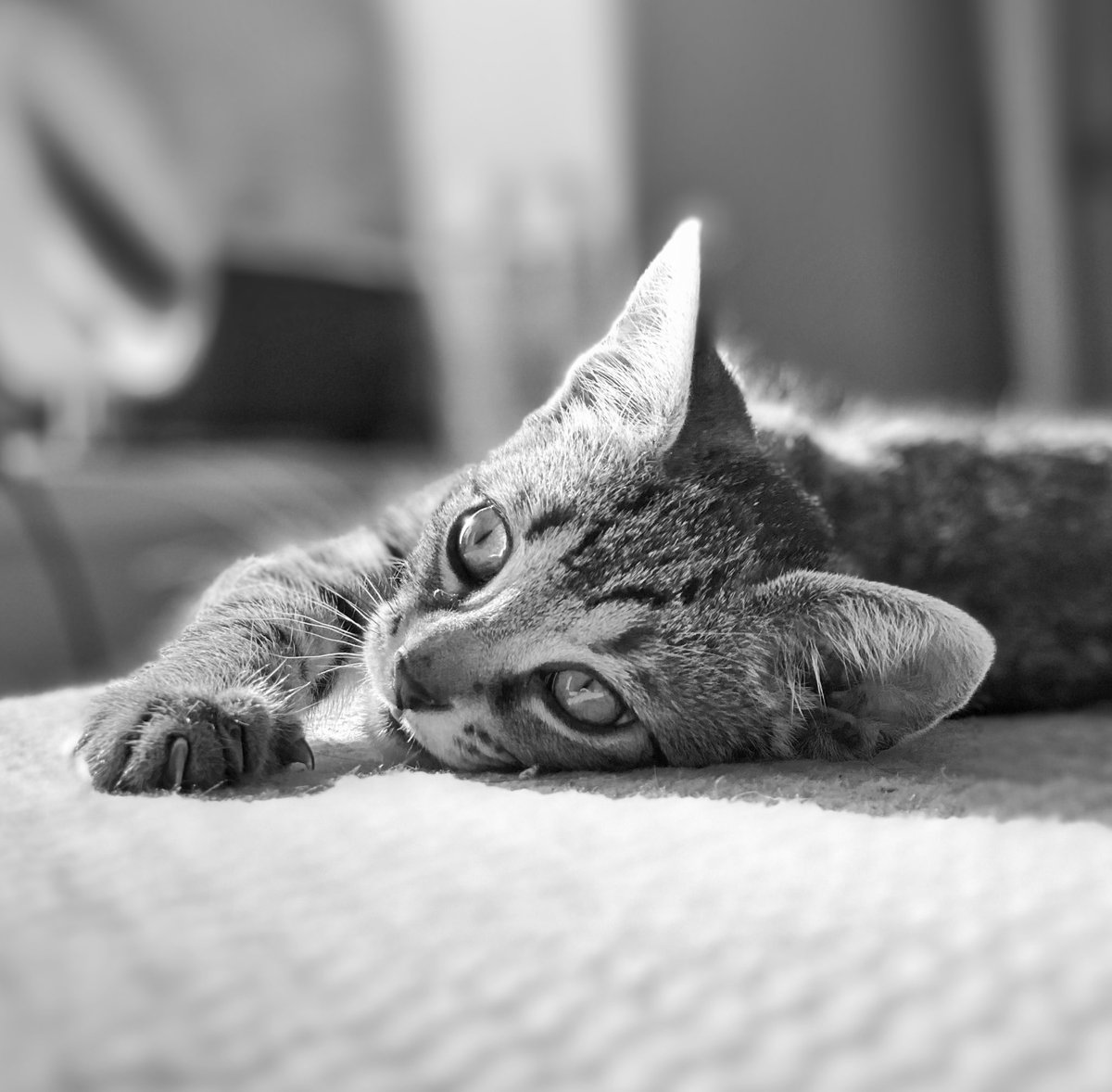 Sharon Latham tweet media