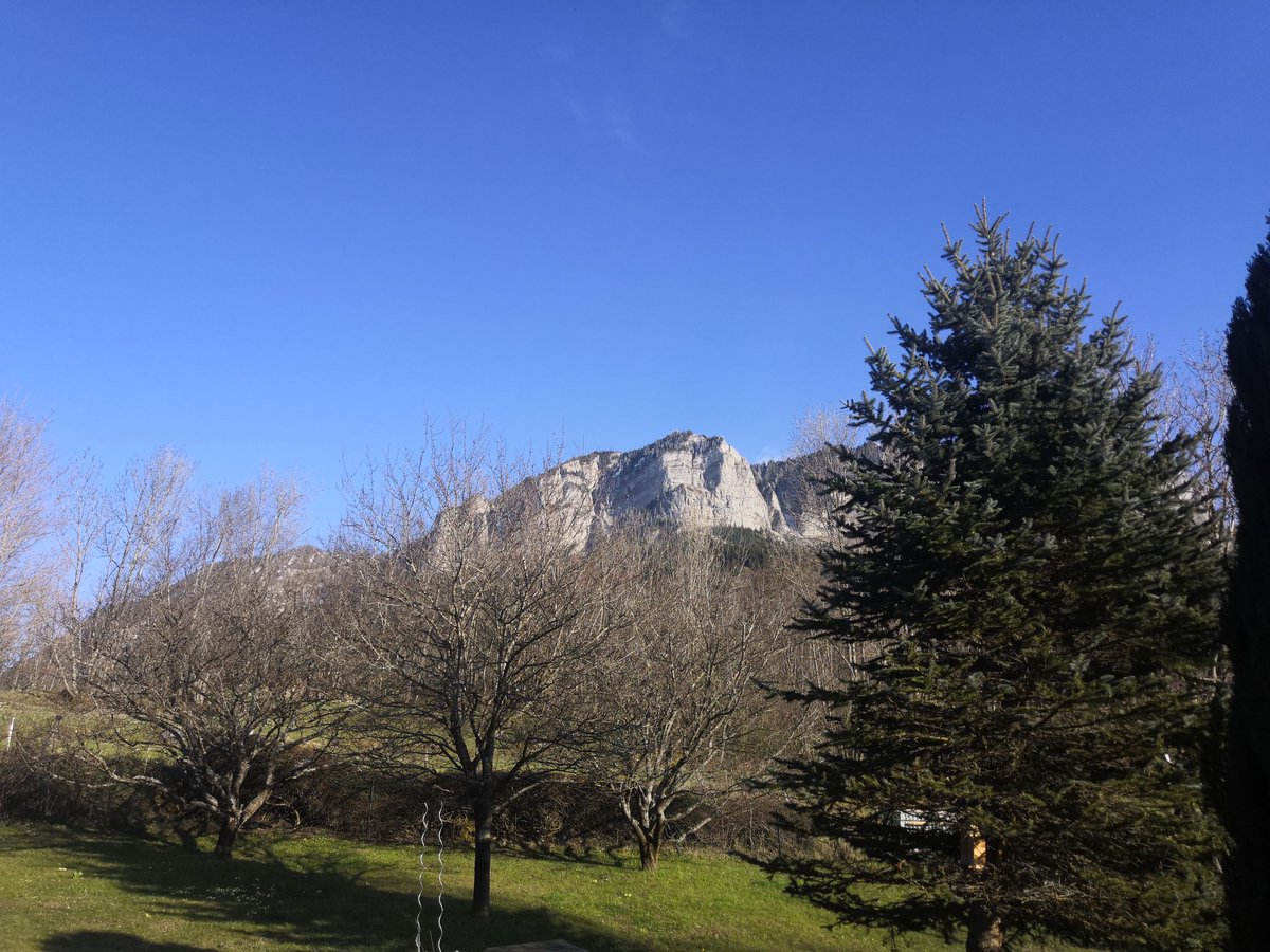 Spider74-Willi tweet media