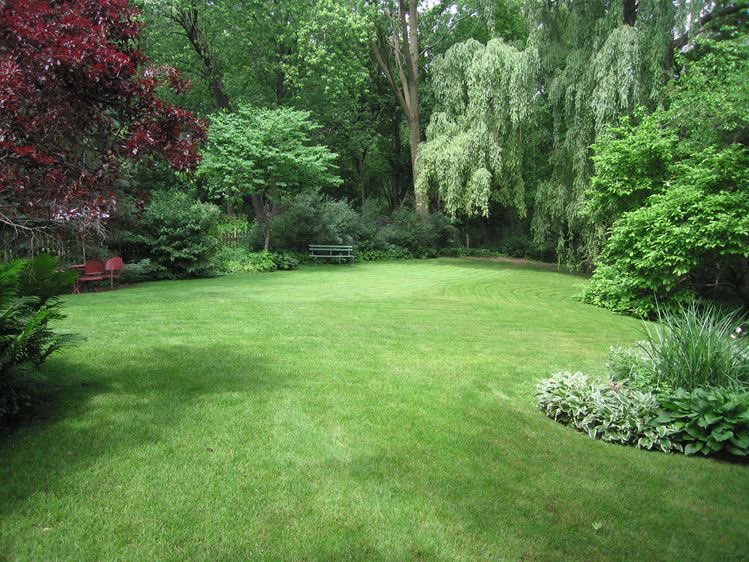 Backyard: 1. lots of grass and trees2. Vegetable + flower garden3. Fire pit/Furnace/bar/bbq area (bc furnace pizza lol)4. Swimming pool