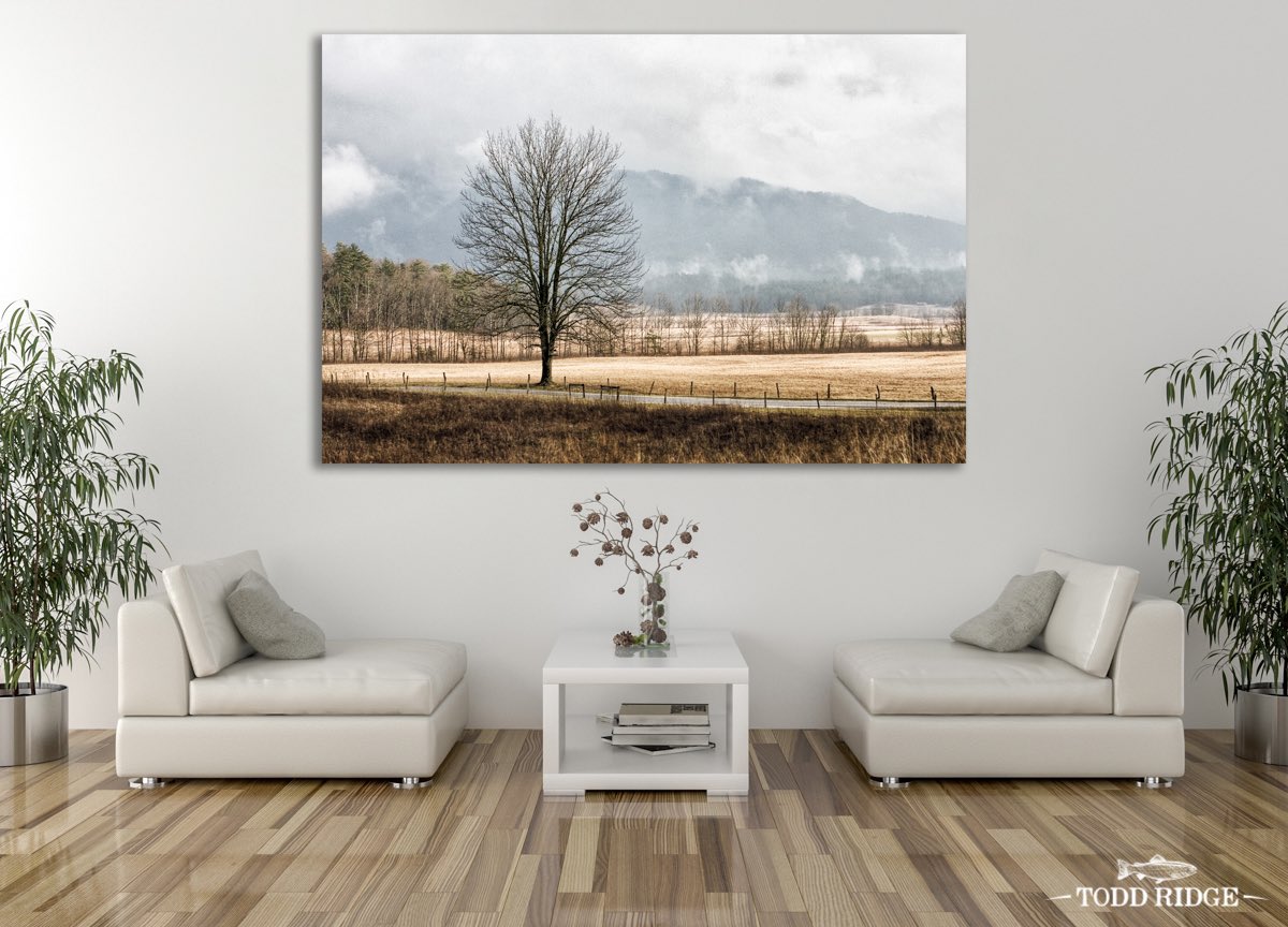 ToddRidgeArtist's tweet photo. Big prints or small prints? What’s your favorite size?
#artistsoninstagram #farmart #countryliving #countryart #farmhousecottage #farmhouseart #farmhouseliving #art #countryfarmhouse #countrycottagestyle #farmhousedecor #artist #countrystyle #farmhouseinspired #farmhousestyle https://t.co/DrmTBY5YjH