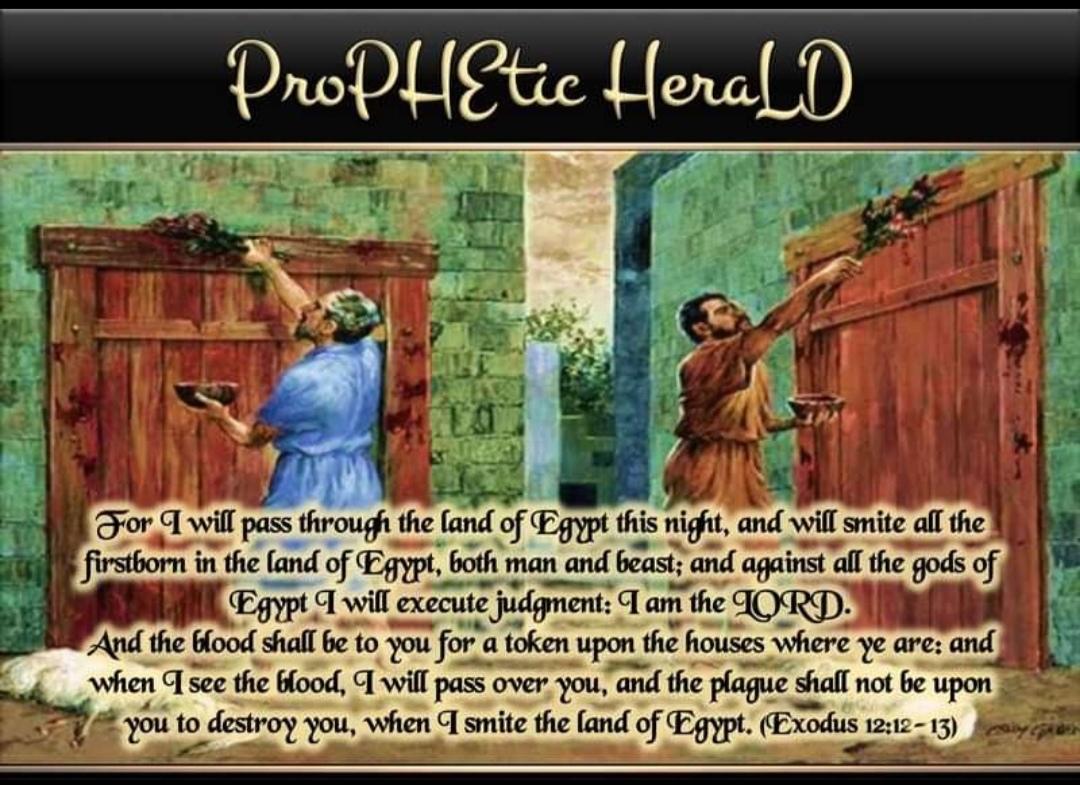 PropheticHerald's tweet photo. O LORD, EXECUTE JUDGEMENT On All The gods That Has Held Nations Captive In Death &amp; Destruction In JESUS, Name, Amen! https://t.co/9AcjIUZsEs