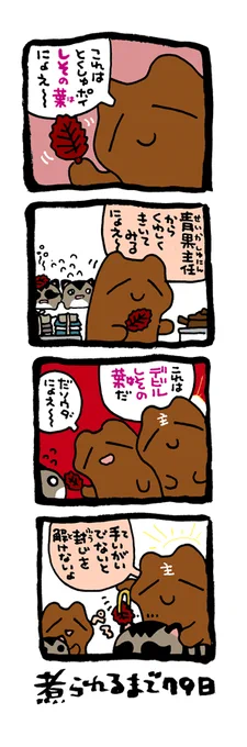@DoyonoJun 100日後に煮られるタケノコ22 