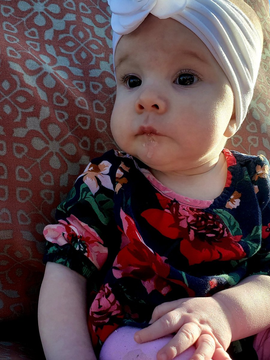 kclmarshall's tweet photo. McKinley growing fast https://t.co/n7w2MBcAFG