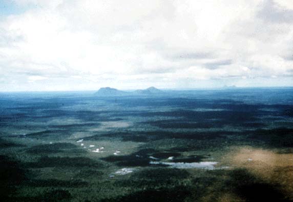 Later in the 1970s, scientists from the Instituto Venezolano de Investigaciones Científicas (IVIC) along with other international partners began an iconic project to understand the ecology of Amazon forests in San Carlos de Río Negro. Photo: Carl Jordan  https://daac.ornl.gov/NPP/guides/NPP_SCR.html