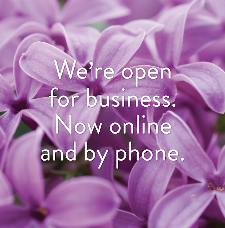 SheridNurseries's tweet photo. We’re open for business. Now online and by phone. 

Introducing Sheridan Nurseries’ contactless Home Delivery and Curbside Pick-up. 

Shop online at https://t.co/AXNhxXA3Z4 or call one of our 8 stores to place an order. https://t.co/JgAAAGFf9I