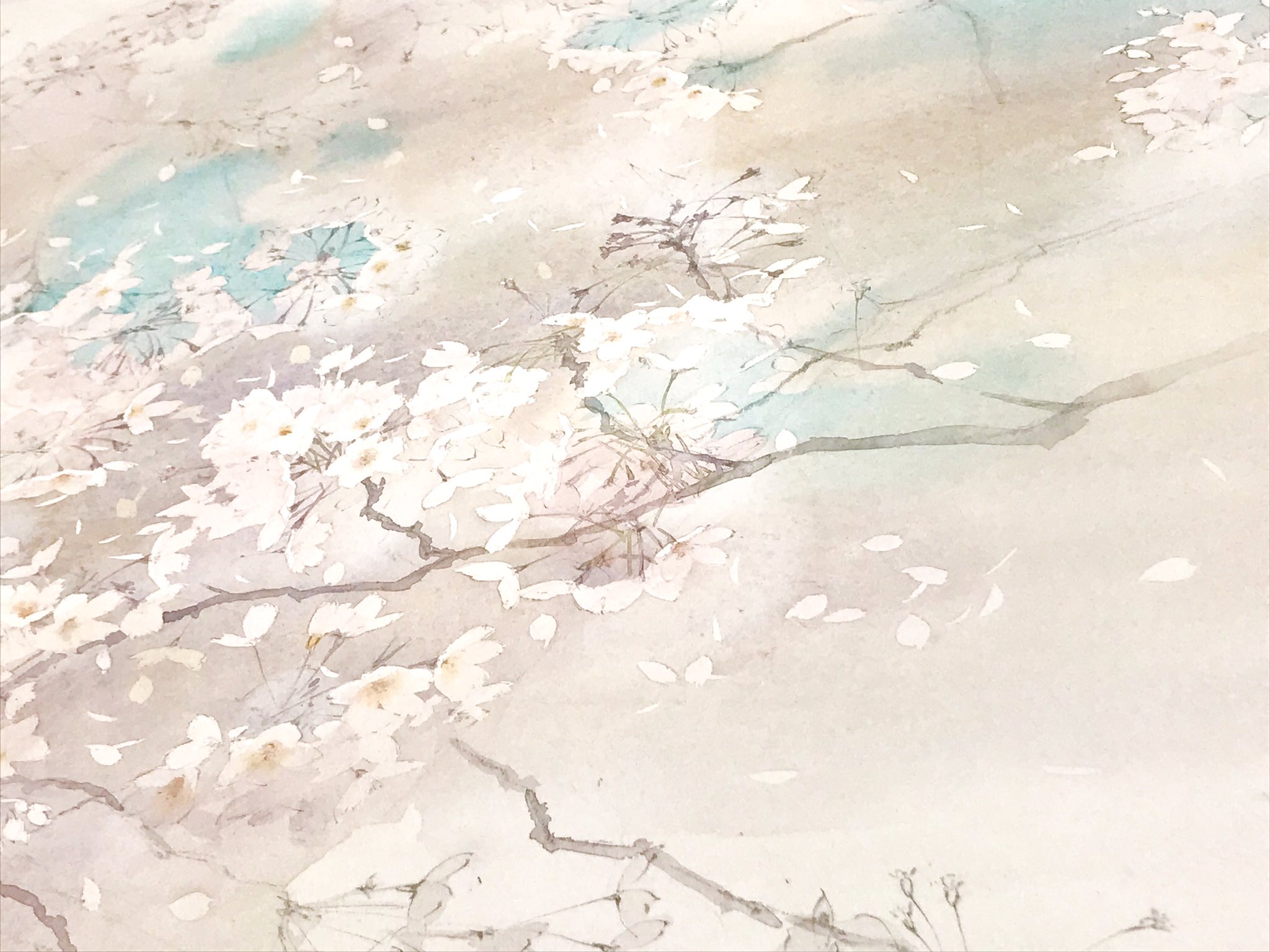 透明水彩画 ソメイヨシノ