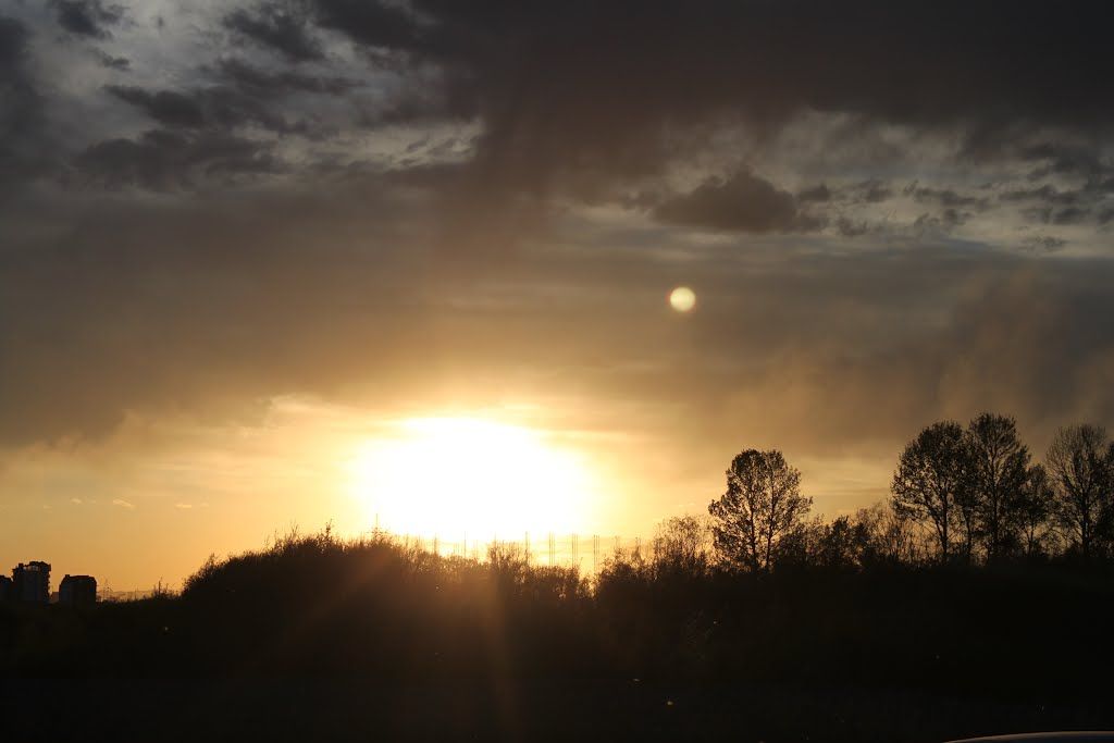 Three things cannot be long hidden: the sun, the moon and the truth.

-Buddha -